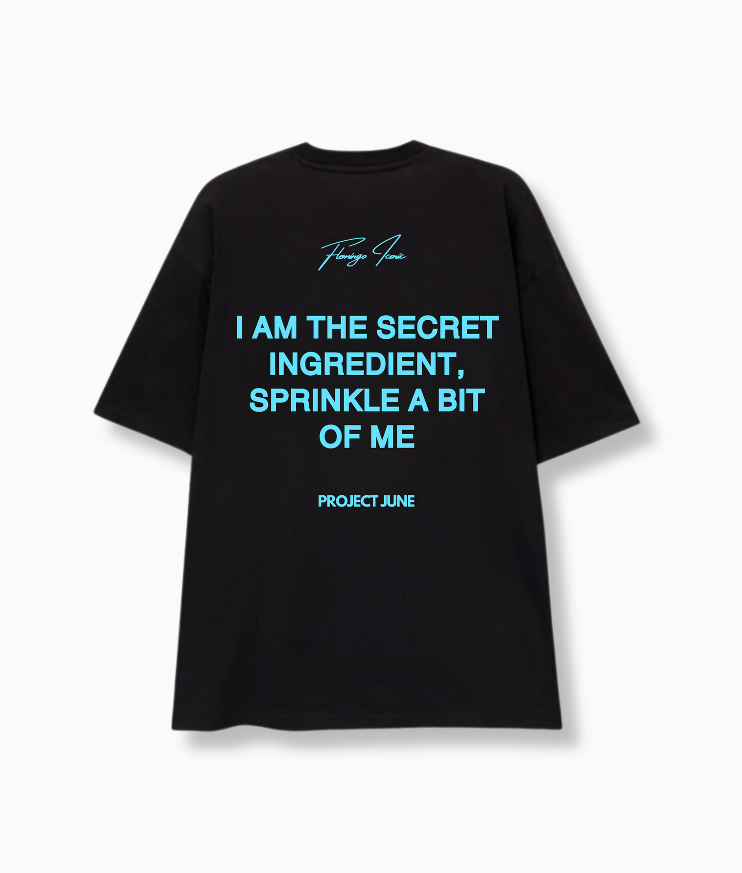 SECRET INGREDIENT BLACK TEE